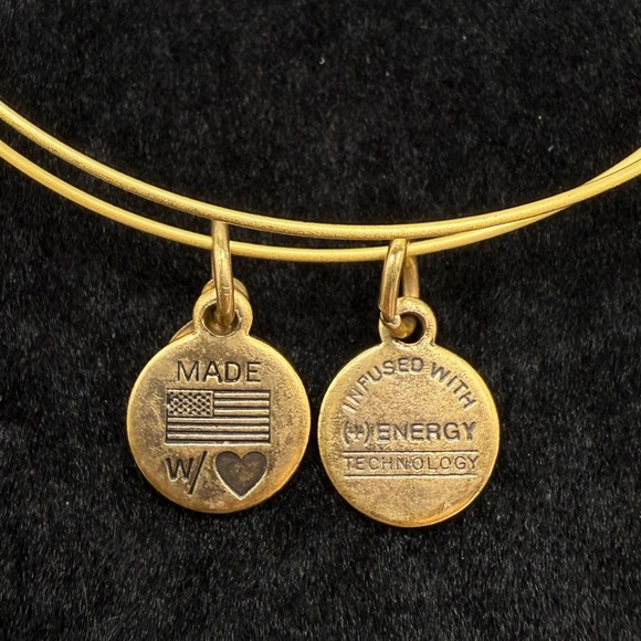 Alex and Ani Blackish/Blue Gold Tone Bracelet - Picture 3 of 3